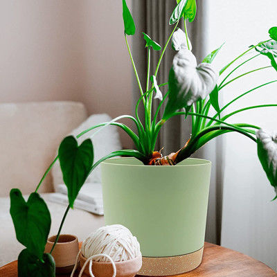 Εσωτερικά πλαστικά δοχεία πράσινων εγκαταστάσεων με τις τρύπες αποξηράνσεων και τη μετακινούμενη βάση